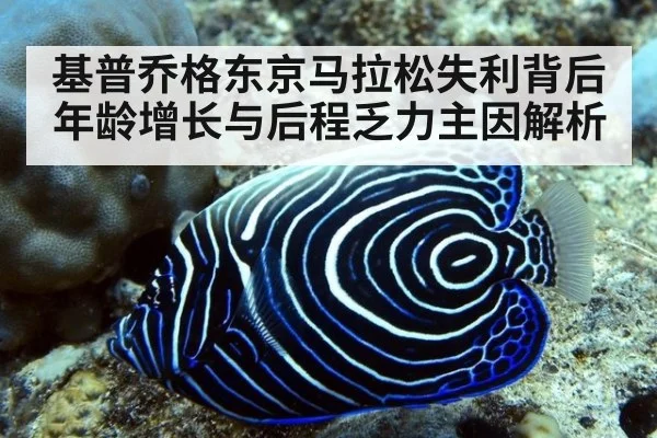 基普乔格东京马拉松失利背后 年龄增长与后程乏力主因解析