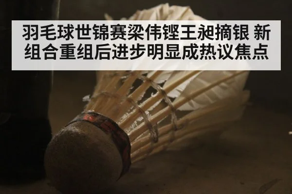 羽毛球世锦赛梁伟铿王昶摘银 新组合重组后进步明显成热议焦点
