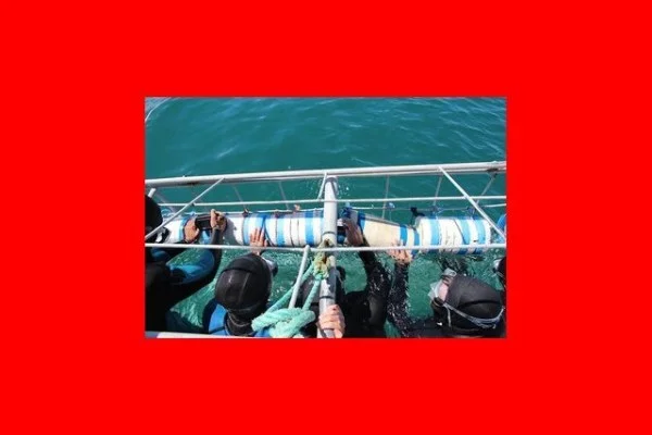 一级方程式圣保罗大奖赛勒克莱尔雨战冲冠全程阿隆索策略深度解析